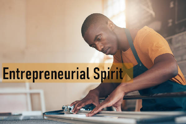WHAT IS AND WHAT COULD BE THE ENTREPRENEURIAL SPIRIT